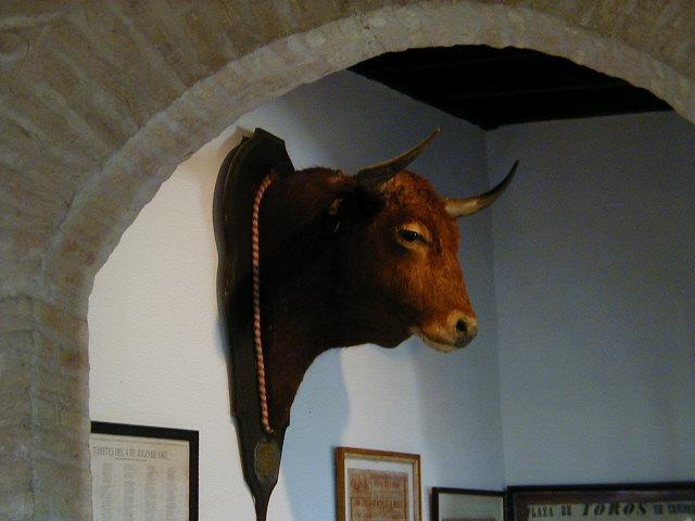 bull's head