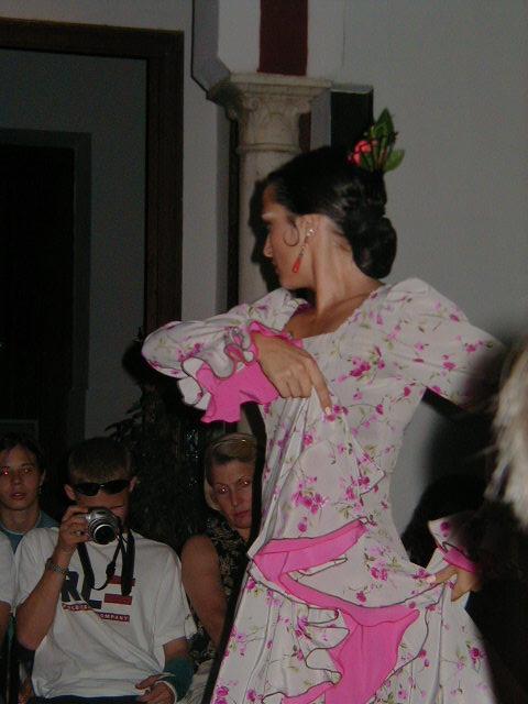 Flamenco dancer