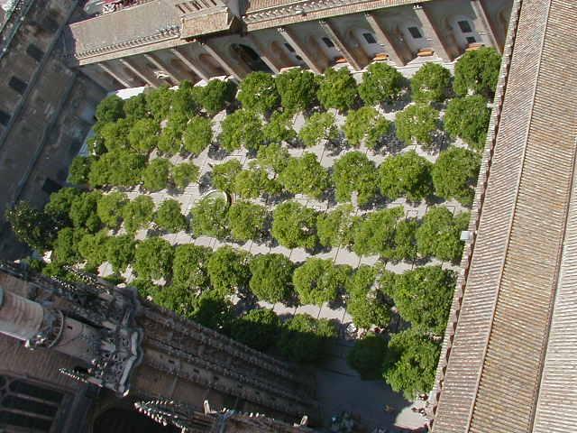View of the orangery from the Giralda